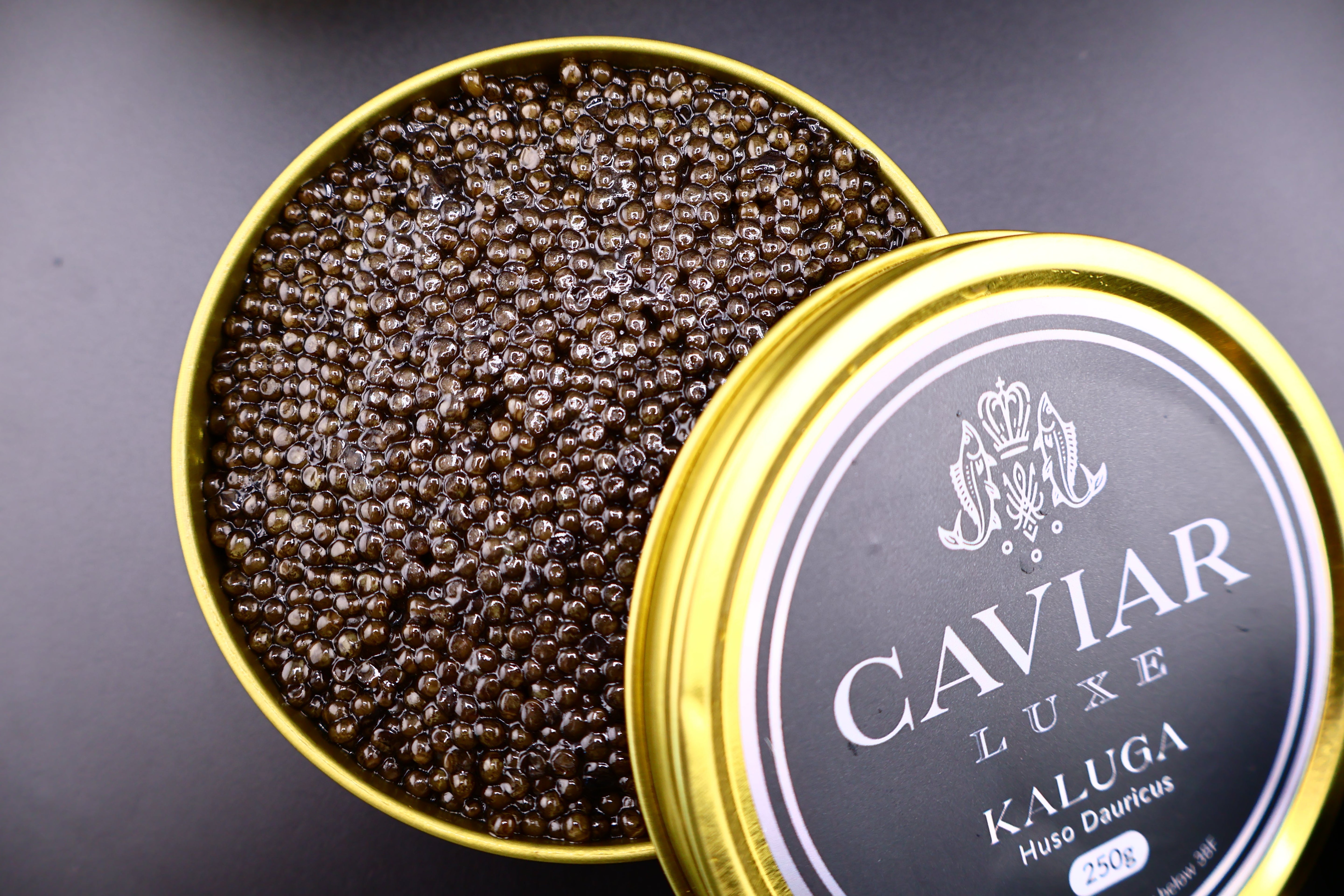 Live Harvest Caviar: What It Means and Why It Changes Everything