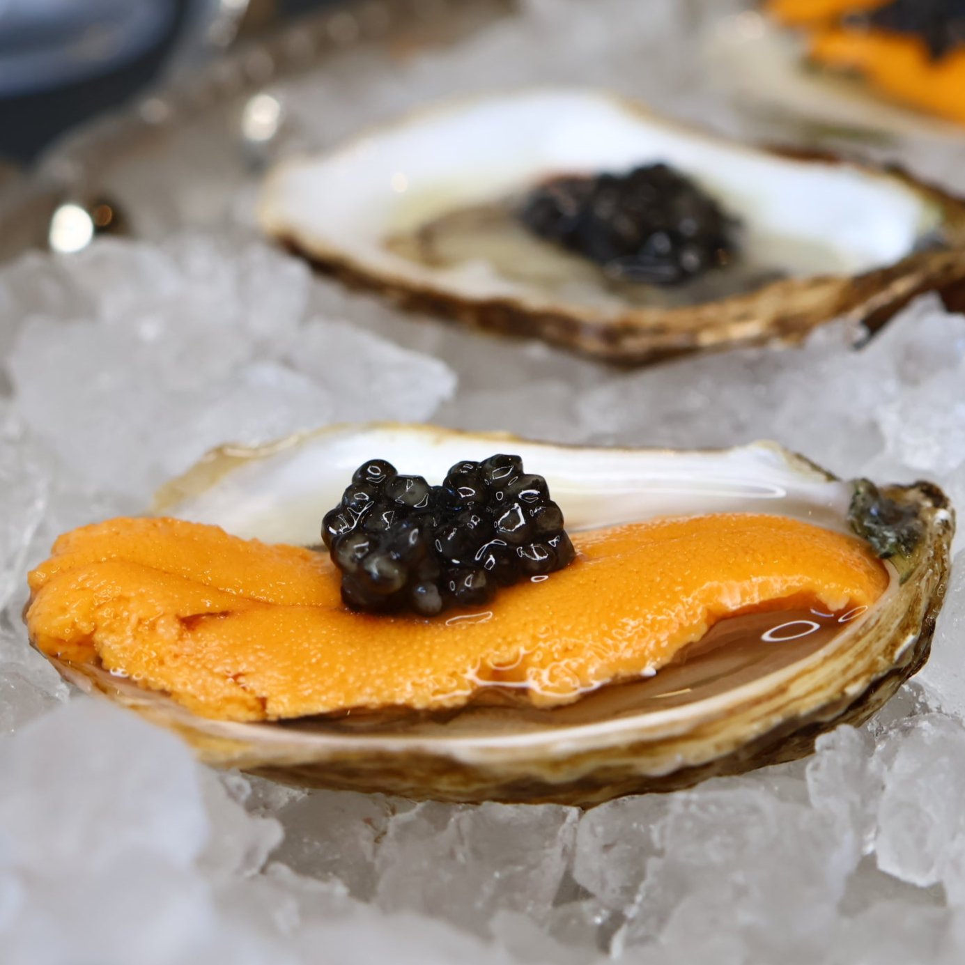 Beluga Hybrid Caviar – large gray sturgeon roe with bold, savory umami flavor. Premium Bester caviar, sustainably sourced for gourmet dining and luxury experiences. Buy fresh Beluga Hybrid Caviar online with free overnight shipping.