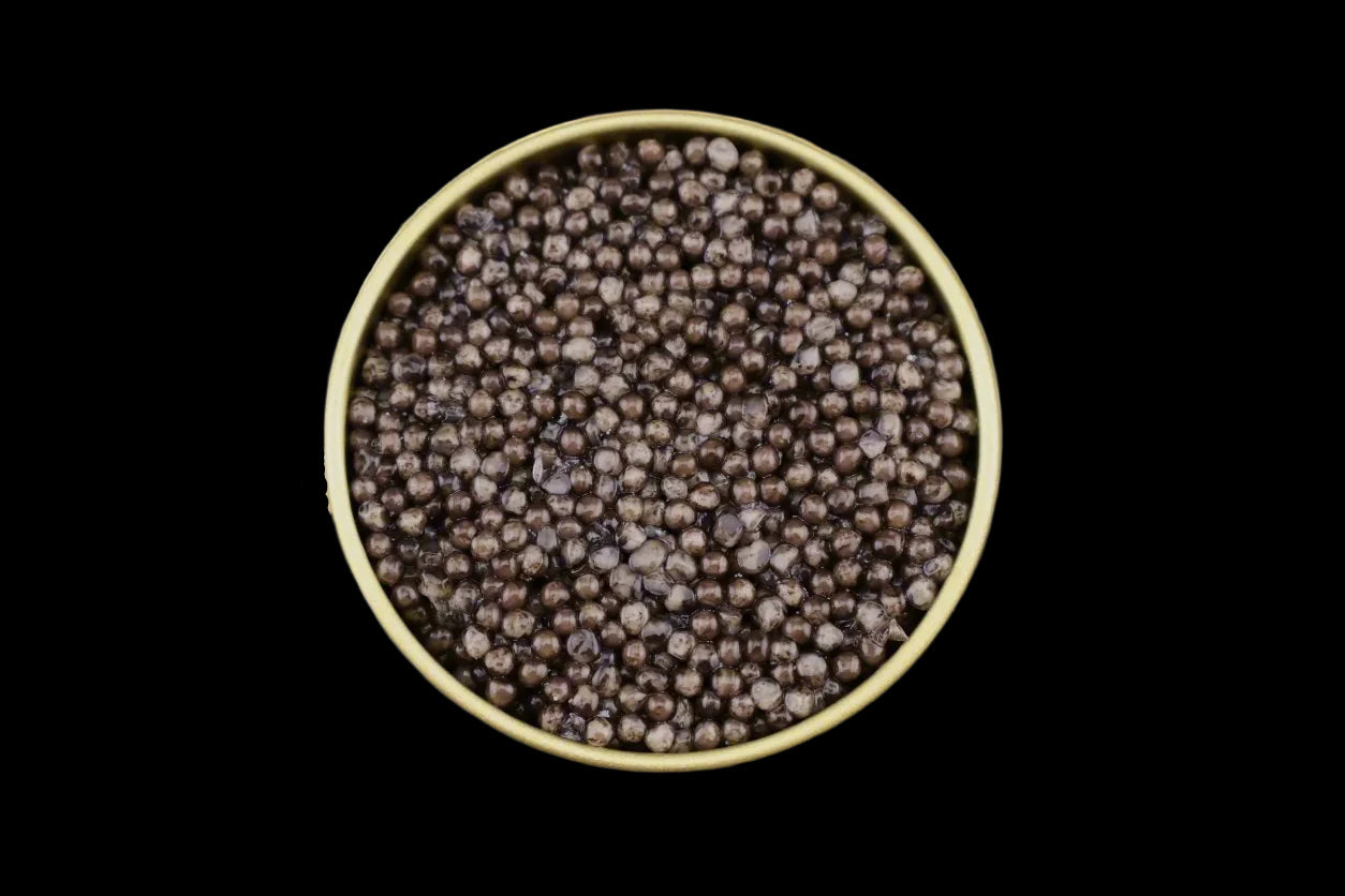 Beluga Hybrid Caviar – large gray sturgeon roe with bold, savory umami flavor. Premium Bester caviar, sustainably sourced for gourmet dining and luxury experiences. Buy fresh Beluga Hybrid Caviar online with free overnight shipping.
