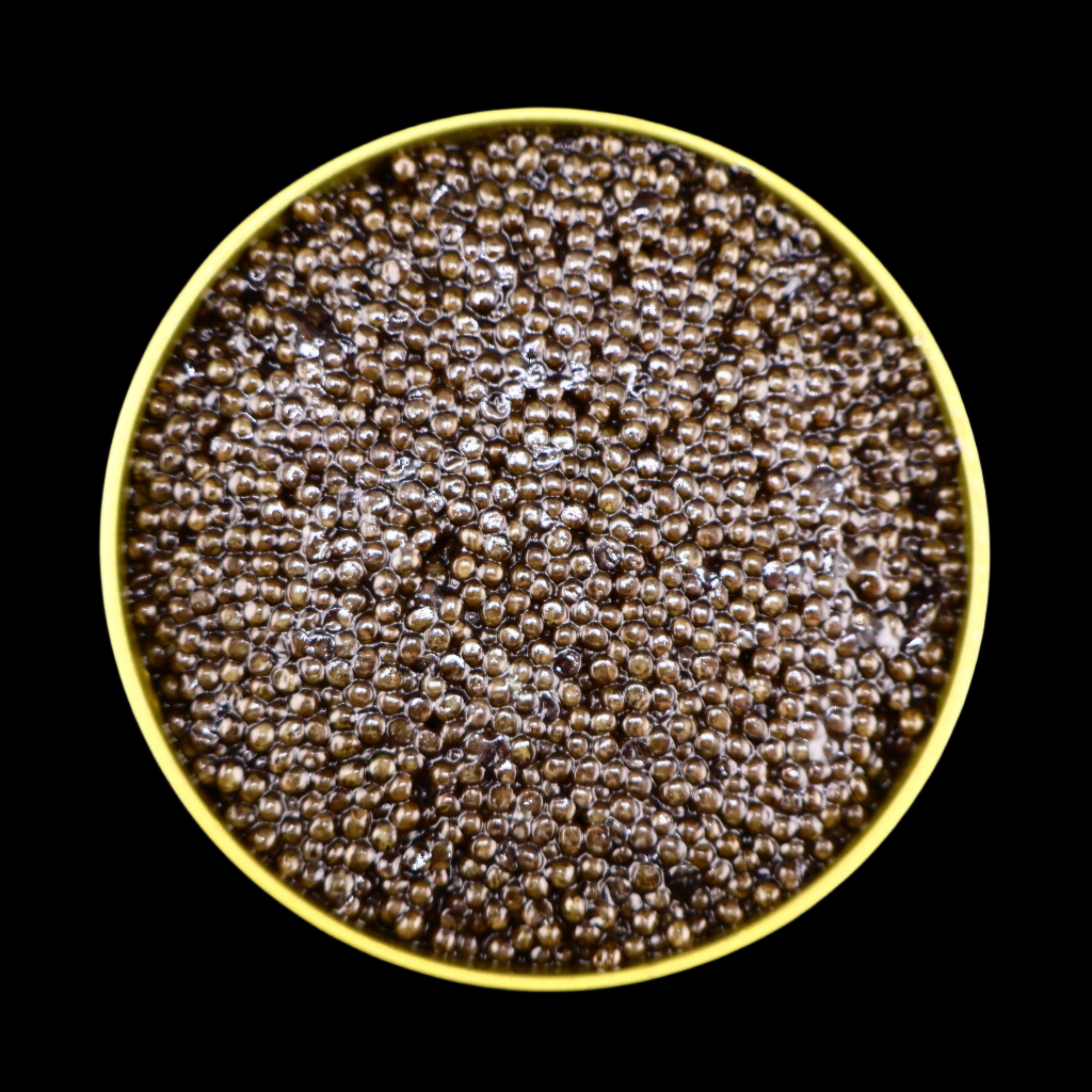 KALUGA CAVIAR, SHOP KALUGA CAVIAR, BEST KALUGA CAVIAR, Kaluga Hybrid caviar
