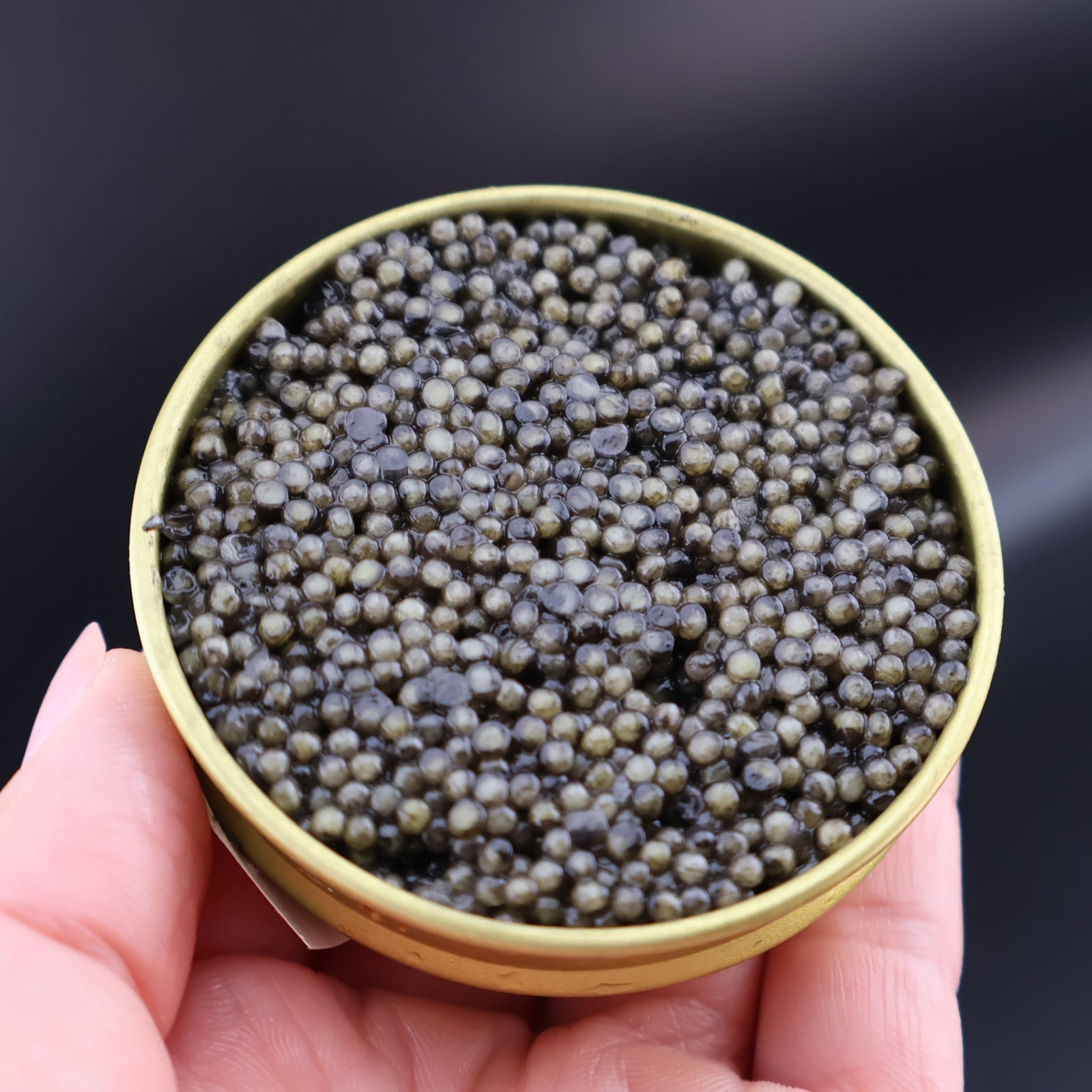 Sevruga caviar – small black sturgeon roe with bold, briny flavor. Premium gourmet caviar, sustainably sourced for fine dining. Buy fresh Sevruga caviar online with free overnight shipping.