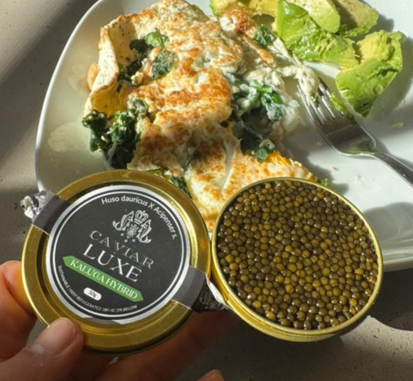 kaluga hybrid, caviar luxe kaluga, kaluga caviar, best kaluga caviar