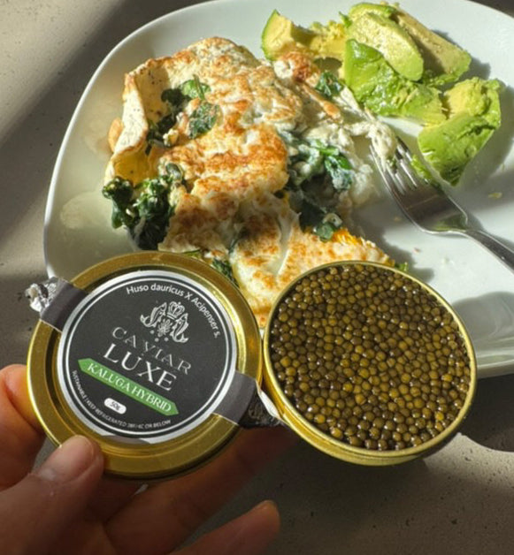 kaluga hybrid, caviar luxe kaluga, kaluga caviar, best kaluga caviar
