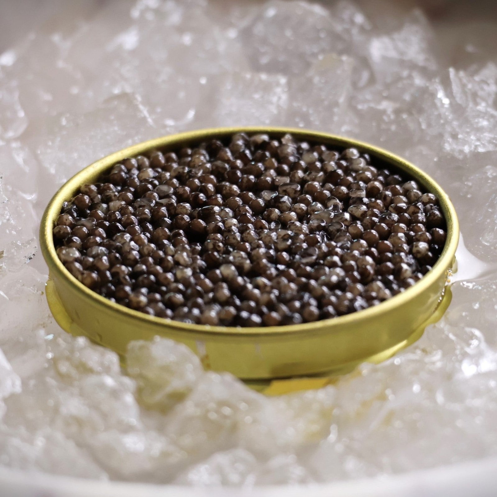 Sevruga caviar – small black sturgeon roe with bold, briny flavor. Premium gourmet caviar, sustainably sourced for fine dining. Buy fresh Sevruga caviar online with free overnight shipping.
