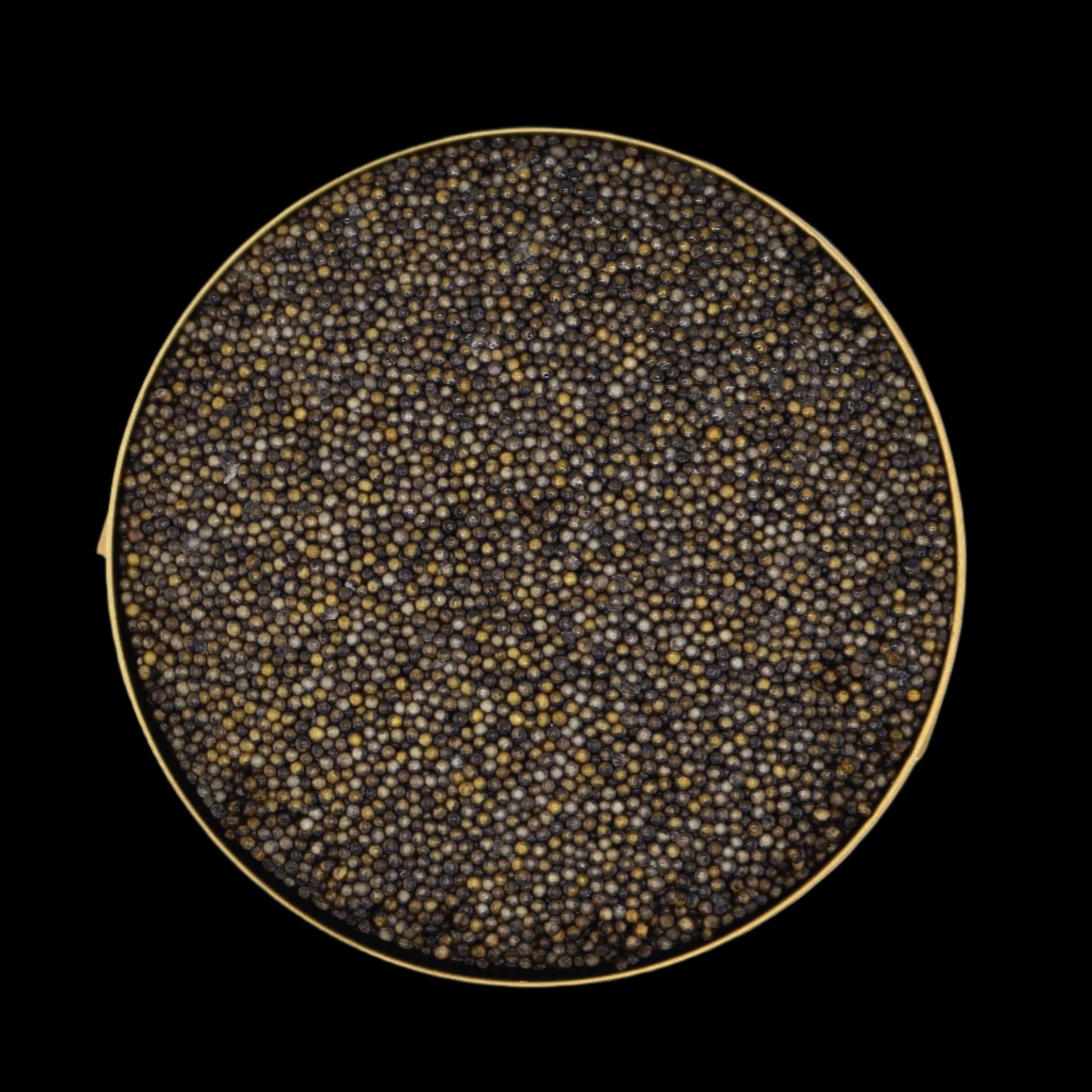 Sterlet Caviar – small, smooth sturgeon roe with a mild, earthy flavor. Versatile and delicate caviar, perfect for fine dining and gourmet dishes. Buy fresh Sterlet Caviar online with free overnight shipping.