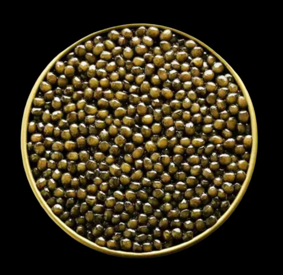 Galilee Osetra Caviar – premium Osetra sturgeon roe with rich, nutty flavor and smooth texture. Dark amber to golden pearls, reminiscent of wild-era caviar. Buy fresh Galilee Osetra Caviar online with free overnight shipping.