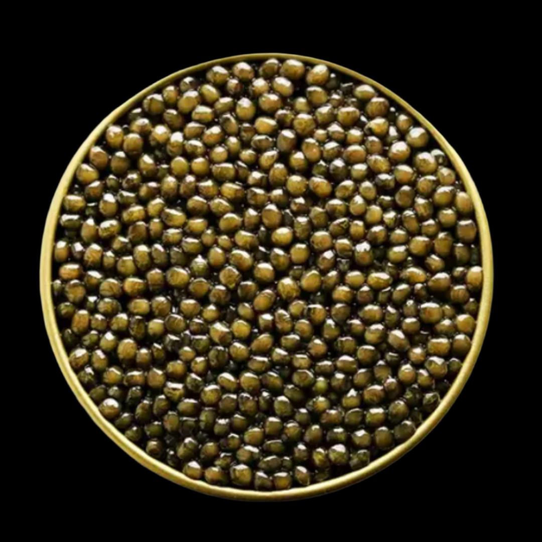 Galilee Osetra Caviar – premium Osetra sturgeon roe with rich, nutty flavor and smooth texture. Dark amber to golden pearls, reminiscent of wild-era caviar. Buy fresh Galilee Osetra Caviar online with free overnight shipping.