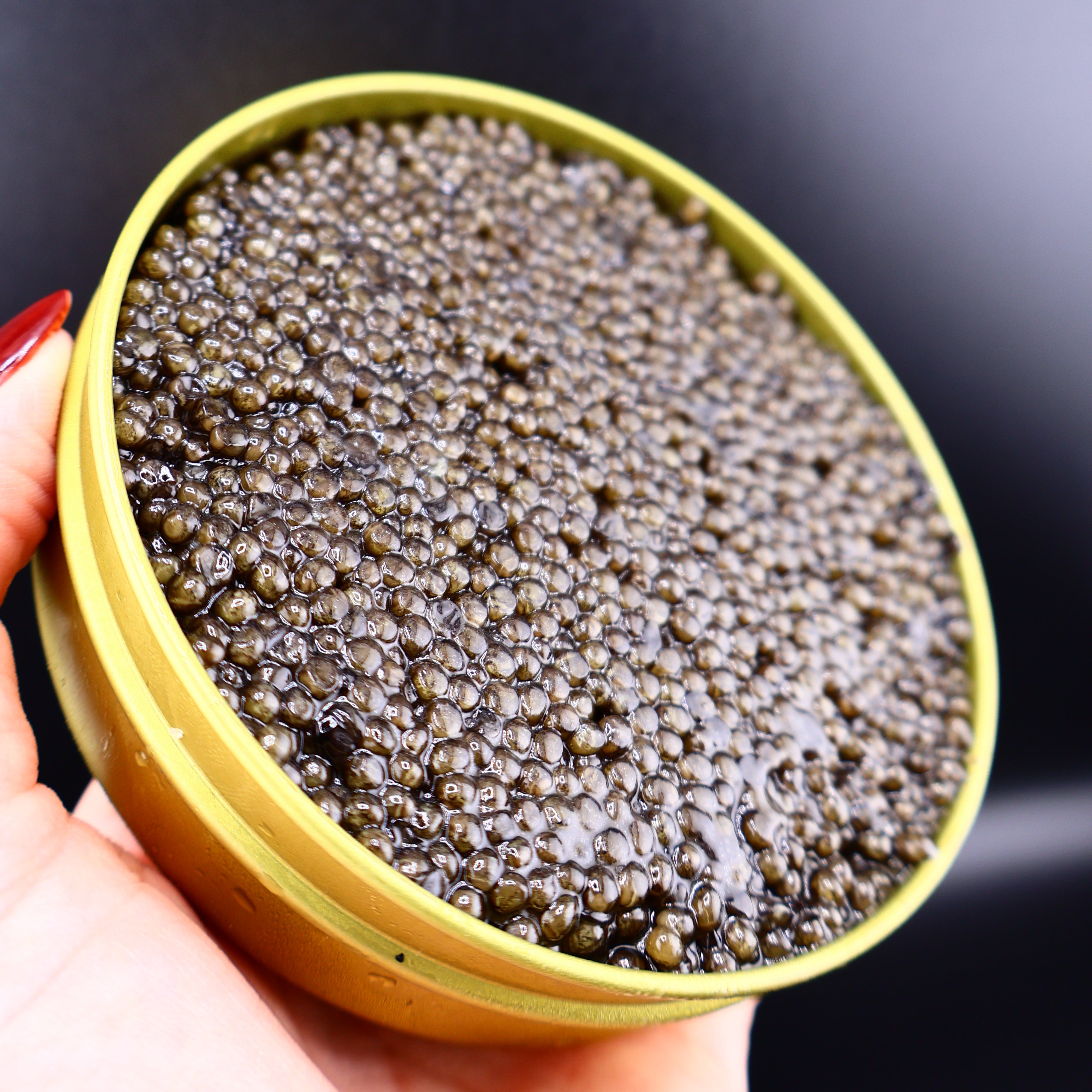 hand holding a tin of kaluga caviar